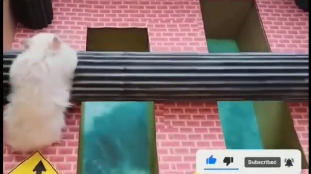 Jail break. Побег из тюрьмы. смотреть онлайн
