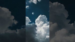 Зорі на небі тільки нам BURLA