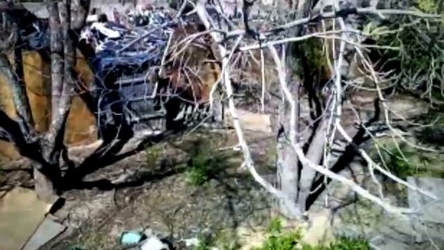 Sierra Negra, Colonia La Cuesta. Cd. Juárez. смотреть онлайн
