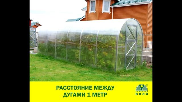Основные характеристики теплицы "Дачная-Двушка" смотреть онлайн