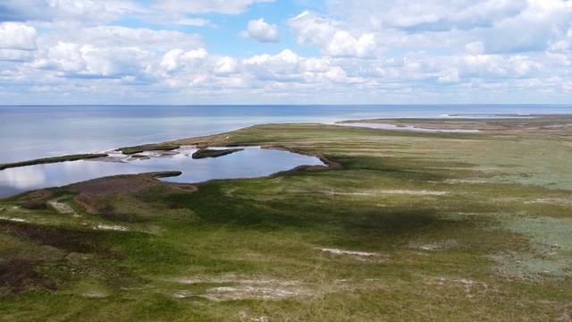 Заповедник Бирючий остров - достопримечательность Украины смотреть онлайн