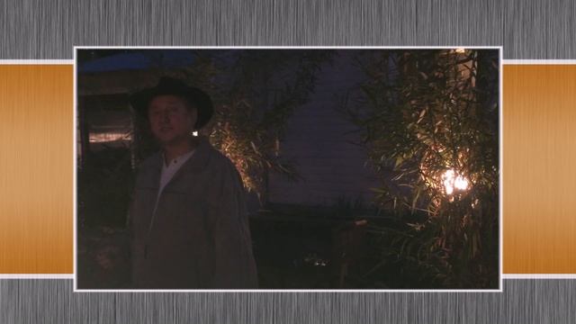 Павива. Освещение для беседки и живой изгороди из ивы. Живые плетёные деревья, туннель. смотреть онлайн