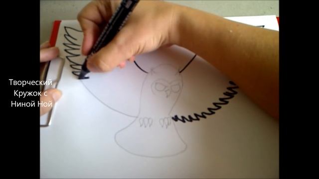 Уроки рисования для начинающих. Как нарисовать сову.   Рисуем  животных и птиц