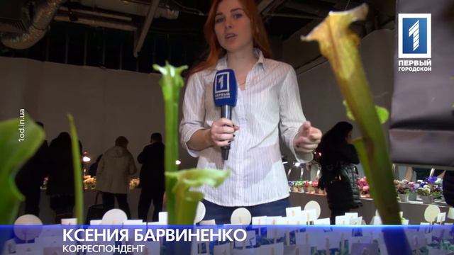 В Одессе открылась необычная цветочная выставка смотреть онлайн