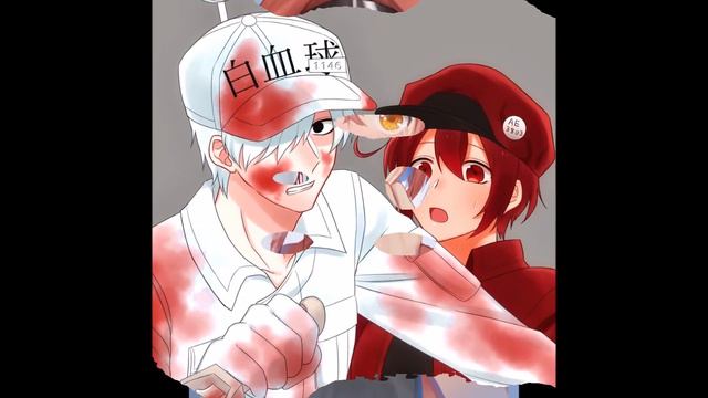 Hataraku Saibou - Red Blood Cell x White Blood Cell :3 смотреть онлайн
