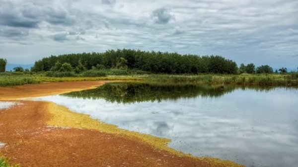 Beautiful Bandar Anzali in Gilan (Iran)