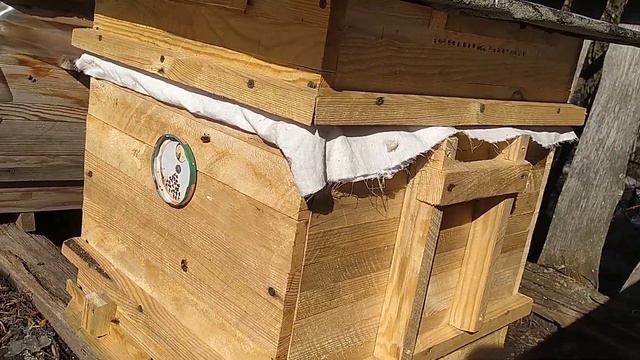 Пчёлы. Весенний очистительный облёт пчёл. смотреть онлайн