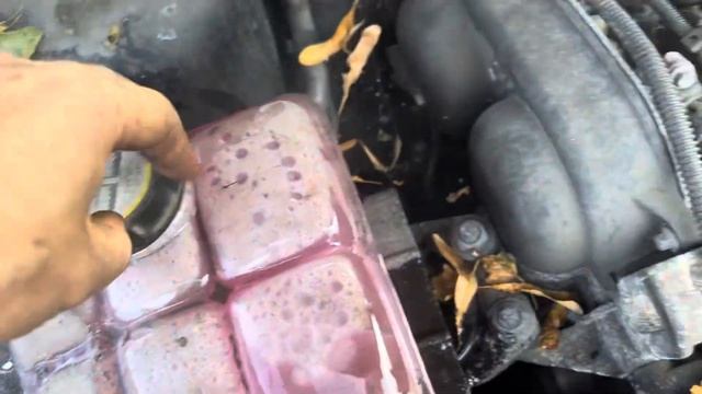 Разборка Ford - Focus 2 2005-2008, 1.6 (VIN: WF05XXWPD56Y46646) GN06KVR смотреть онлайн