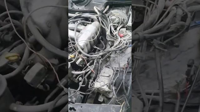 Mercedes-Benz E-Class W124 на восстановление, приступаем к электрики. #мерседес #mercedes #Байкал смотреть онлайн