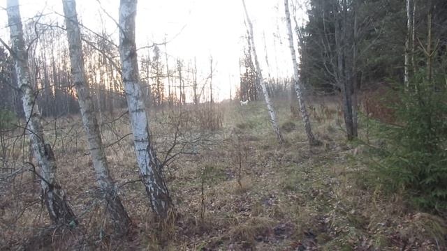 К Лайме полгода спустя смотреть онлайн
