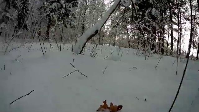 Зимние сюжеты. Съёмка на экшен камеру sjcam sj6 legend смотреть онлайн