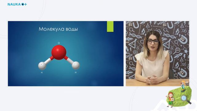 Путешествие в микромир.