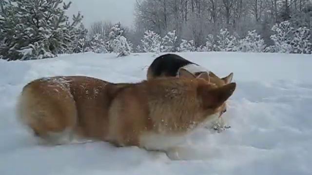 MVI 6010 смотреть онлайн