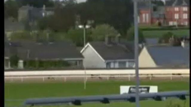 IGB - The Retired Greyhound Trust Semi-Final 27/07/2019 Race 4 - Waterford смотреть онлайн