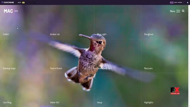 MAC - Photography Fullscreen WordPress Theme Shelly Mervyn смотреть онлайн