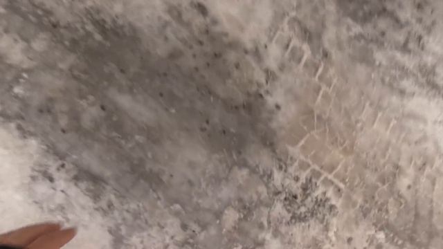 Tesla Model X P90DL Vs 90D Tug Of War