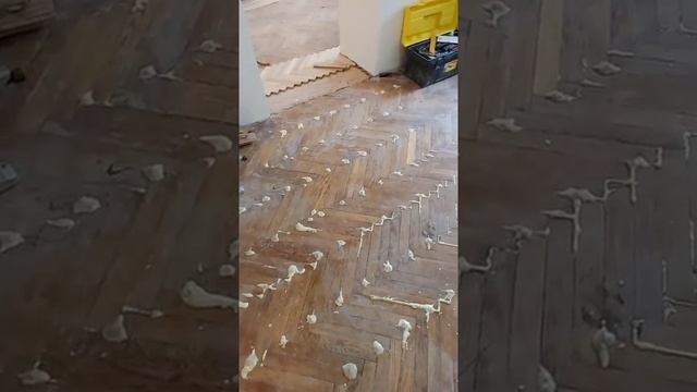 циклевка и ремонт паркета смотреть онлайн