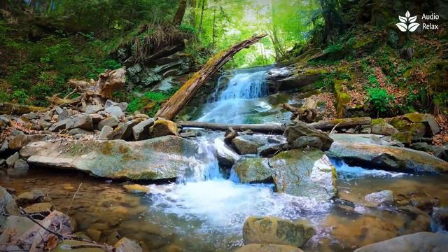 Whispering Brook: Relaxing Stream & Waterfall | Sleep, Peace, Focus смотреть онлайн