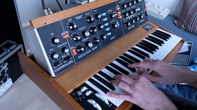 Minimoog Model D  Delayjam