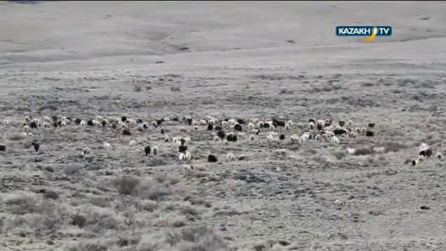 Алтын Эмель2 смотреть онлайн