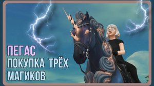 Первый в игре ПЕГАС - покупка ТРЁХ новых магиков | Star Stable