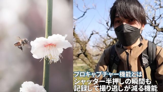 【マイクロフォーサーズの本気】ついに出た！OM-1の実力やいかに！？ смотреть онлайн