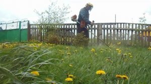 Косим траву мотокосой Stihl fs 130.