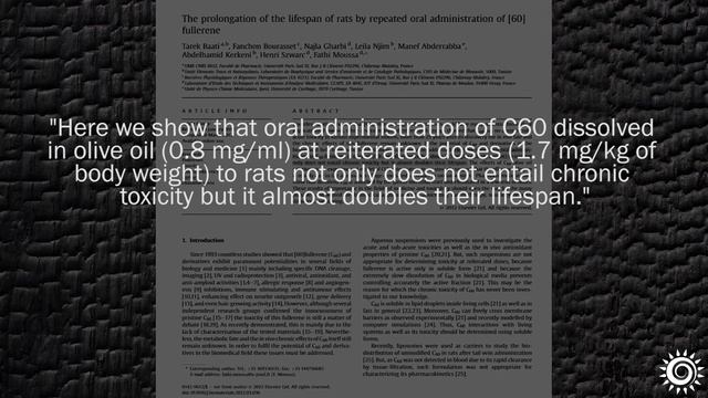 List of Superfoods for Detox Support, Top 7 Favorites смотреть онлайн