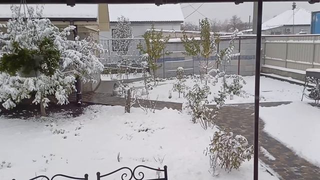 ОБИДЕЛИ БАБУШКУ..