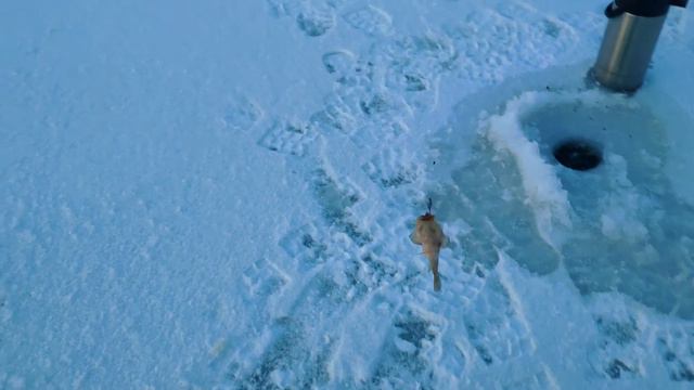 Рыбалка с другом( Первый лед) 2021 смотреть онлайн