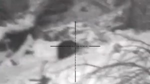 Вечерняя охота на бобра! калибр 223 оптика Пульсар ультра LRF 455 Стрелял в голову.