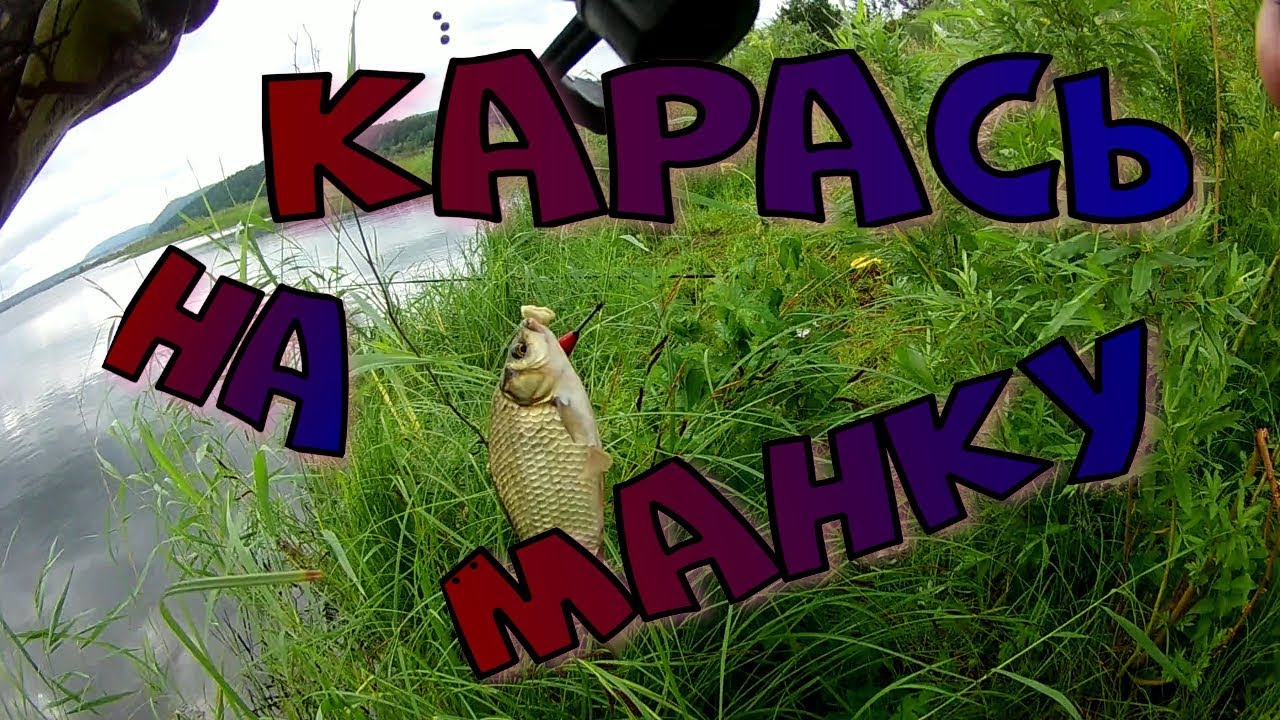 КАРАСЬ на манку..mp4 смотреть онлайн