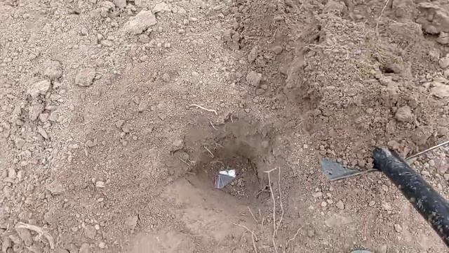 Квазар арм, тест на динарій смотреть онлайн