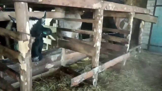 Наша погода. Цены на продукцию смотреть онлайн