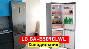 Холодильник LG GA-B509CLWL