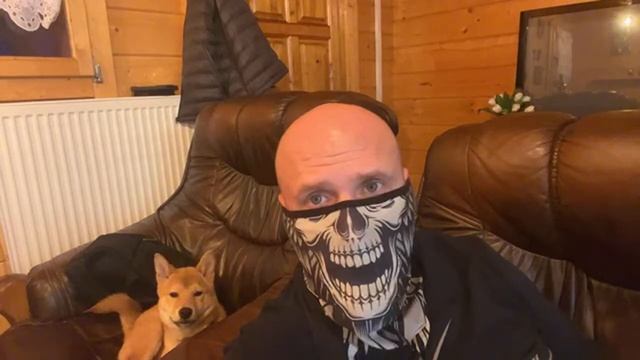 WASP KILLER ONLINE