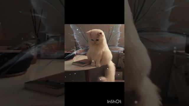 саблиминал на переход в 9-ый класс( сдать экстерном за 8-ой класс) смотреть онлайн