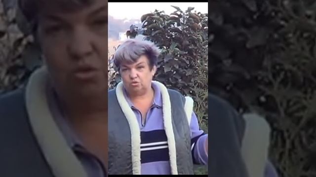 Как правильно садить смородину и крыжовник #shorts смотреть онлайн