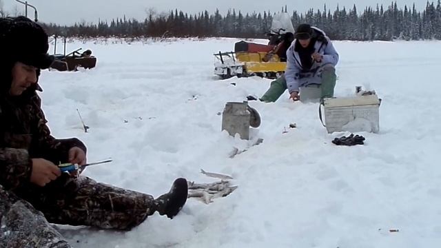 Ловля хариуса зимой. смотреть онлайн
