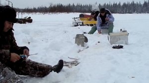 Ловля хариуса зимой.