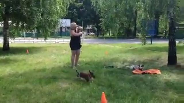 Команда "место" смотреть онлайн