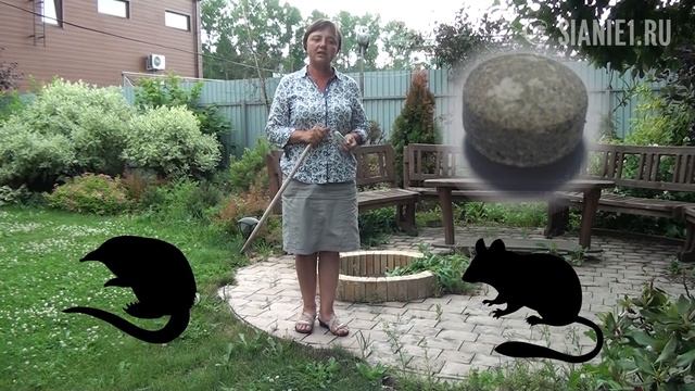 Строительные Новости