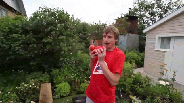 Удачи на даче. Овощной жонглёр.