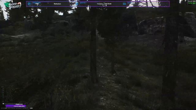 Escape from Tarkov I Стрим смотреть онлайн