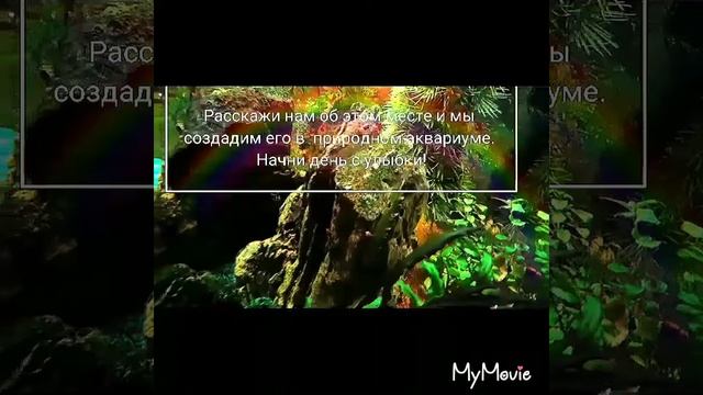 Мой природный аквариум. Работа. Встроен в стену. 118/80/90/ смотреть онлайн