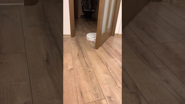 Xiaomi MI Robot vacuum mop P смотреть онлайн