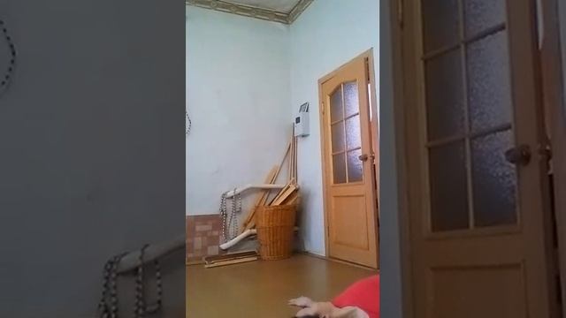 Прогибы, йога Айенгара, занятие 17.04 смотреть онлайн
