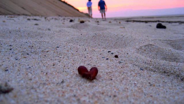 Музыка для фитнеса. Целительная! Слушать! смотреть онлайн