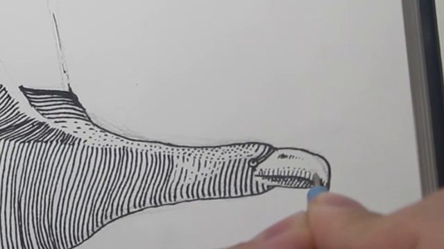 Рисунок Белоплечего орлана, точки и штриховка. смотреть онлайн
