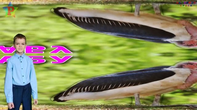 Звуки и голоса животных африки для детей | Рома собирает картинки из кусочков смотреть онлайн